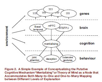 Figura 2. Conceptualización de los mecanismos de mentalización de la teoría de la mente (Frith & Frith, 2010).