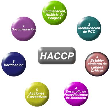 de HACCP esté compuesto por personas de diversas disciplinas. La primera actividad que deberá realizar el equipo de HACCP es indicar el ámbito de aplicación del estudio.