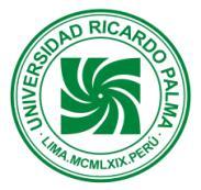 UNIVERSIDAD RICARDO PALMA FACULTAD DE INGENIERÍA DEPARTAMENTO ACADÉMICO DE INGENIERÍA I. INFORMACION GENERAL PLAN DE ESTUDIOS 2008-II SÍLABO 1.1 Asignatura : MECÁNICA DEL CUERPO RÍGIDO 1.