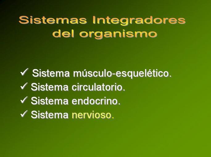 El sistema nervioso constituye uno de los integradores de la actividad vital del organismo humano. Pueden identificarse 4 de estos sistemas integradores: el sistema músculo esquelético.