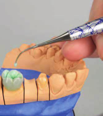 sectores de la protésica dental.