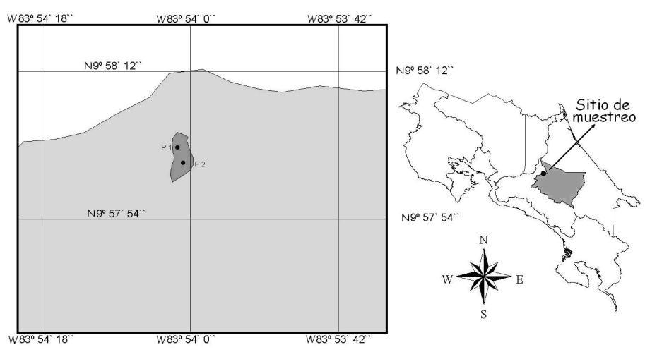 Figura 1. Ubicación geográfica de la plantación de Alnus acuminata estudiada.