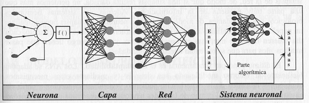 Sistema Neuronal Artificial El modelo estándard de neurona artificial Rumelhart y McClelland (1986) y
