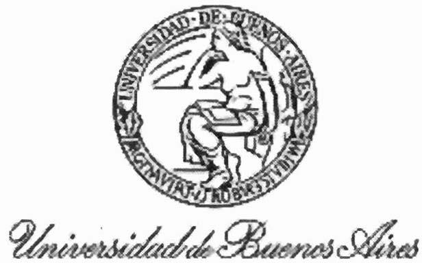 RECIBO ENTREGA DE PLIEGO UNIVERSIDAD DE BUENOS AIRES RECTORADO Y CONSEJO SUPERIOR DIRECCION GENERAL DE