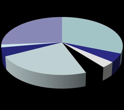 456 6,1 Producción Sector Marítimo Canario VAB del Sector Marítimo Canario 26% 2% 31% Náutica deportiva y de recreo Construcción y reparación