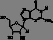 También pueden formar parte de otras moléculas que no son ácidos nucleicos, como moléculas portadoras de energía o coenzimas.