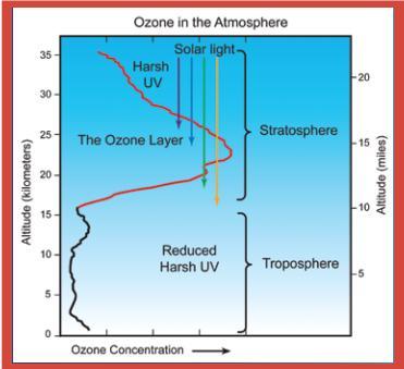 Capa de ozono: Su localización en la atmosfera Ozono estratosférico (La Capa de Ozono) Contiene el 90% del ozono atmosférico Rol benéfico: Actúa