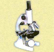 Tipos de microscopios 1. Microscopio de luz- el microscopio de luz usa un rayo de luz para iluminar los objetos, que son entonces magnificados y enfocados por lentes de cristal. a.