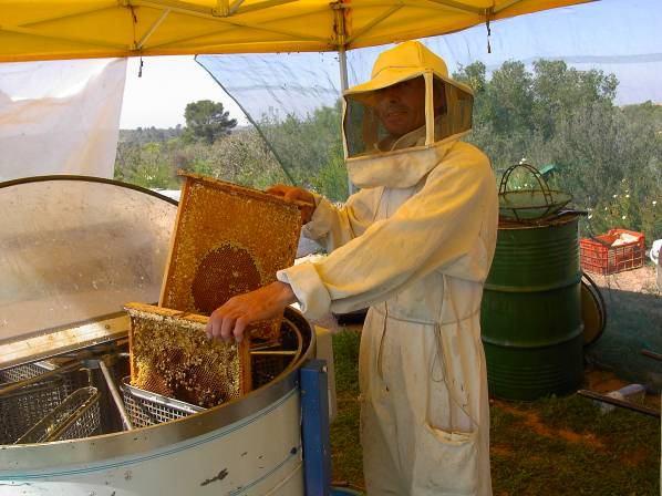 apicultores Cosechan