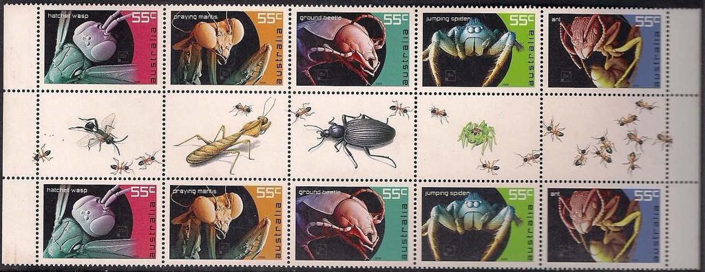 Mantidae + Coleoptera : Carabidae +