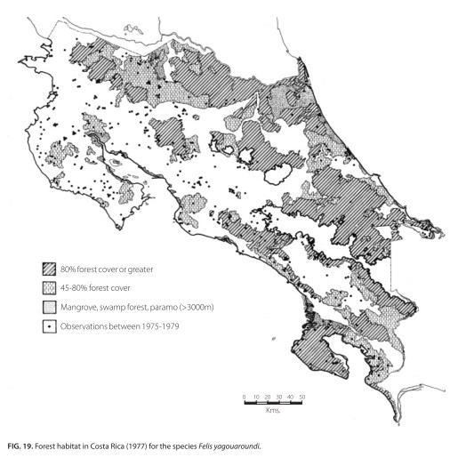 Figura 36. Hábitat de bosque en Costa Rica (1977) para Puma yagouaroundi. Fuente: Vaughan (2011) En México, es común encontrarlos habitando áreas abiertas con algún tipo de cobertura vegetal.
