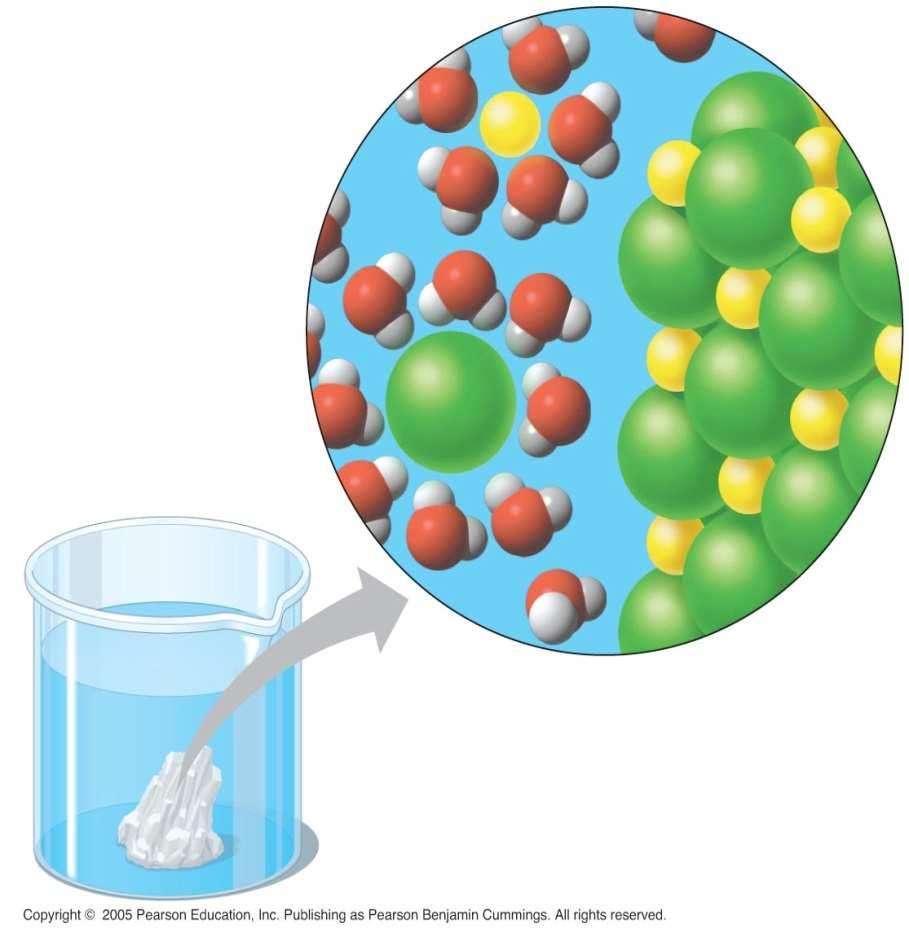 Propiedades físico-químicas del agua Derivan de su peculiar estructura molecular y determinan las funciones biológicas que el agua desempeña en los sistemas biológicos. 1) Acción disolvente.