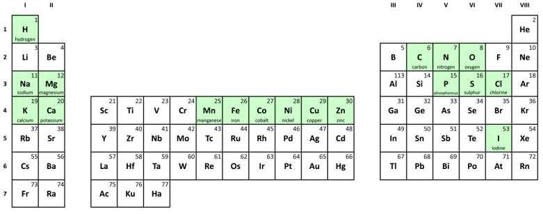 Elementos químicos de la vida: Bioelementos Existen unos 27 bioelementos y, al igual que el resto de elementos que