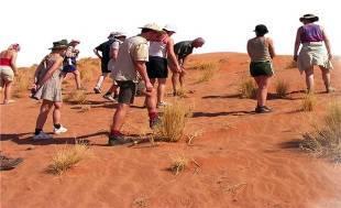 Namib Naukluft y hacia Sossusvlei con sus magníficas vistas de sus famosas
