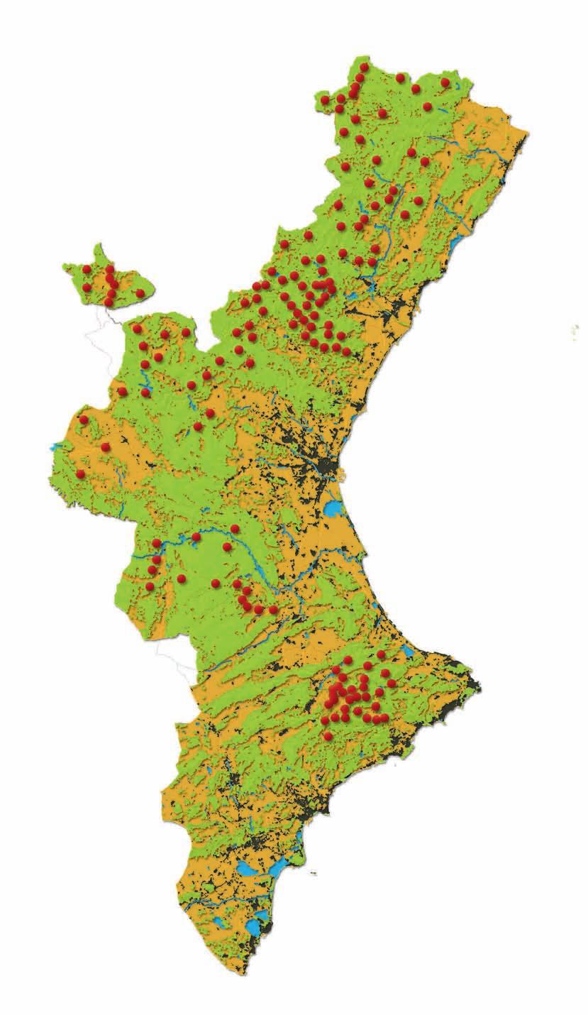 Análisis y potencialidades Sistema Rural y usos del suelo Fuente: Corine Land Cover, 2006.