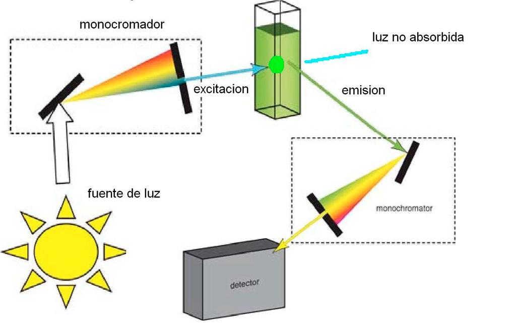 (k f + k d ) Hay equipos para medir tiempos de vida de fluorescencia, que son muy utiles en