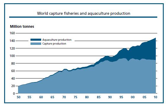 Capturas de las Pesquerías Mundiales y Producción Acuícola (FAO, 2012) Millones de toneladas Producción acuícola