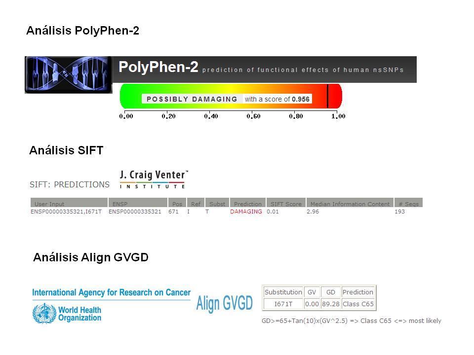 DISCUSIÓN Figura 20: Resultados obtenidos de las bases bioinformáticas PolyPhen-2, SIFT y Align GVGD, en relación al potencial carácter patogénico de la mutación p.
