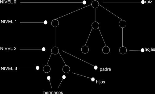 MATEMÁTICAS BÁSICAS PARA COMPUTACIÓN 4 Clasificación Características del árbol, en base a su tamaño: Orden: es el número de hijos que puede tener cada elemento del árbol.