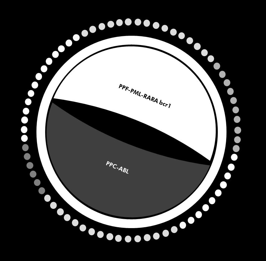 Figura 3. Configuración del rotor recomendada para cada experimento con el kit ipsogen PML-RARA bcr1.