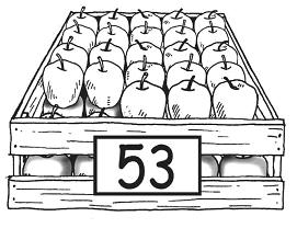33. En una caja hay 53 manzanas y en otra hay 42 manzanas.