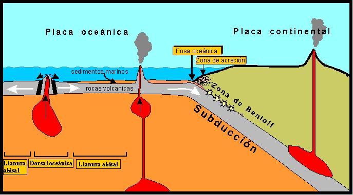 Corteza oceánica: Es más densa que la continental y está compuesta a su vez por otras dos capas. de la Tierra, que hace que se renueve el fondo oceánico.