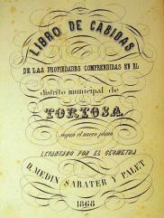 LA ESTADÍSTICA TERRITORIAL DEL DISTRITO DE TORTOSA DE MEDÍN SABATER Y PALET (1868) recuadro contiene el escudo y diversos motivos florales, y está unido por elementos entrelazados que recuerdan a los