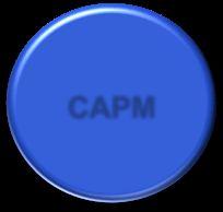 Program  (PgMP ) PMI-SP CAPM PgMP