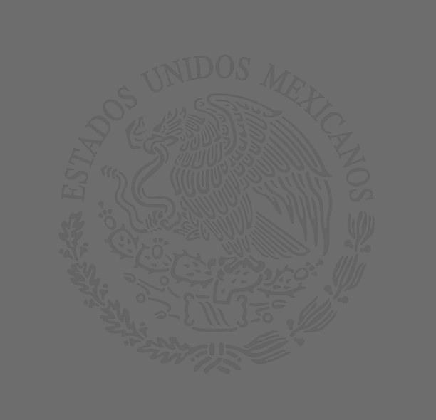 México, D.F., 29 de octubre de 1996 CIRCULAR Núm. 1333 ASUNTO: ACUERDO PARA EL FINANCIAMIENTO DEL SECTOR AGROPECUARIO Y PESQUERO.