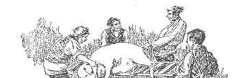 CONCLUSIONES La matanza del cerdo constituía a una actividad insustituible como fuente de alimentos de gran valor nutritivo con un coste mínimo.