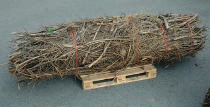 Con el empacado se pretende poder realizar el transporte viario del residuo forestal con unas características similares a las de la madera en rollo, manipulándolo con los mismos autocargadores que se