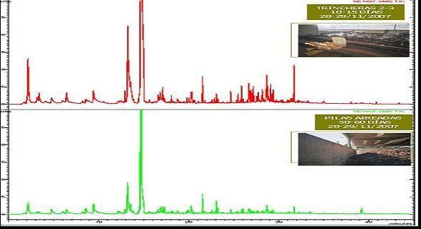 4.2 Compostaje abierto de FORM En la Figura 2 se muestran los cromatogramas obtenidos en la fase final de descomposición (10-14 días) y al final de la maduración (50-60 días) para el compostaje de