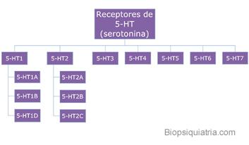 La neuroquinina B y los receptores NK-3: Neuroquinina B (NK-B). Al igual que la NK-A, se trata de un péptido de 10 aminoácidos (decapéptido).