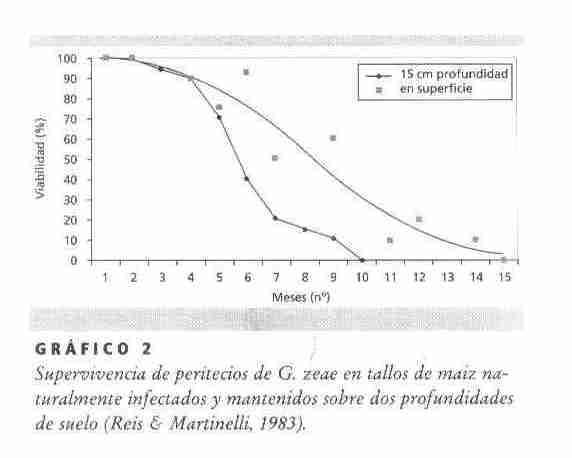 TRIGO: Fusariosis Fuente: Reis, E.M y Carmona, M. 2002.