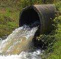 Contaminación ambiental Contaminación fecal del suministro de agua provocada por fugas en tanques sépticos o por el escurrimiento de estiércol desde los campos.