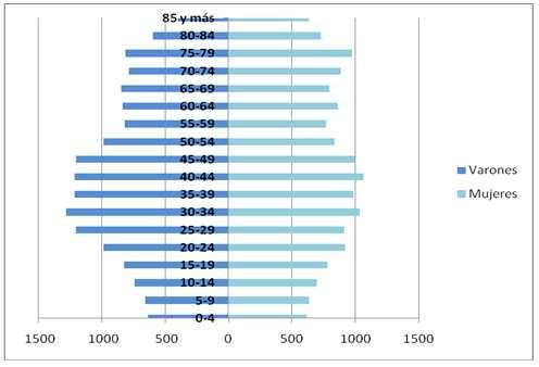 Estructura Poblacional por sexos y edades: A continuación se detallan los datos relativos a estructura poblacional. Figura 1.3.2.2 Pirámide de Población Fuente: Datos INE 2009. Elaboración propia.
