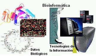 1.- Introducción a la Bioinformática En este capítulo presentaré y motivaré el curso con una rápida visita a los conceptos básicos.