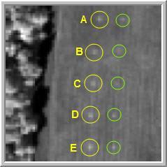 Las características de la imagen se muestran en la Tabla 1 Líneas 64 Muestras 64 Bandas 169 (eliminados canales ruidosos) Rango espectral 0,4 2,5 μm Resolución espacial 1.56 metros/píxel Tamaño 5.