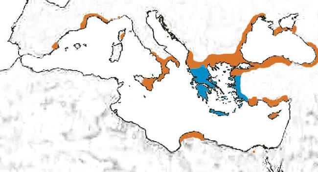 Colonización Griega Los griegos recogerán el testigo de los micénicos en lo que al control del Mar se refiere, sin embargo tendrán que pasar varios siglos (la llamada época oscura griega o Dark Age:
