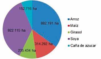 Distribución de la superficie de los principales productos agrícolas de las tierras bajas de Bolivia Fuente: INE 2012 Del total de la
