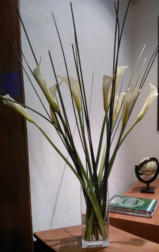 Florero Elegante de 10 Liliums Premium. Altura 50 cms. Aprox. $19.
