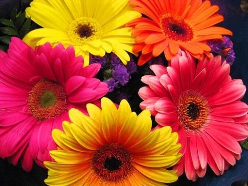 Ramos de Flores (4) Disponible en todas las flores. Se realizan pedidos especiales.