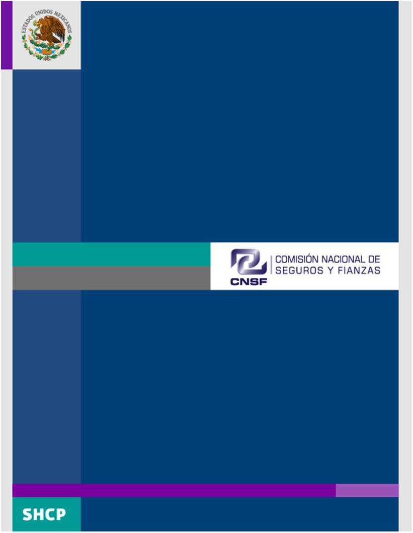 Análisis descriptivo del sistema estadístico del seguro de Accidentes y Enfermedades (2010).