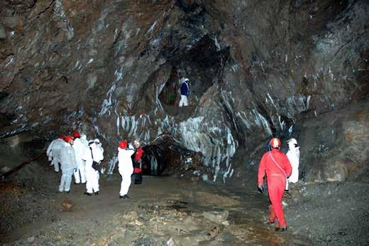 LIG 149 Minas de Arditurri Visita estudio a las diferentes galerías de la mina para su acondicionamiento turístico. Bibliografía específica Herrero, J. M. (1977): Estudio mineralógico y metalogénico del yacimiento plombo-cincífero de Olandieta (Oyarzun Guipúzcoa).