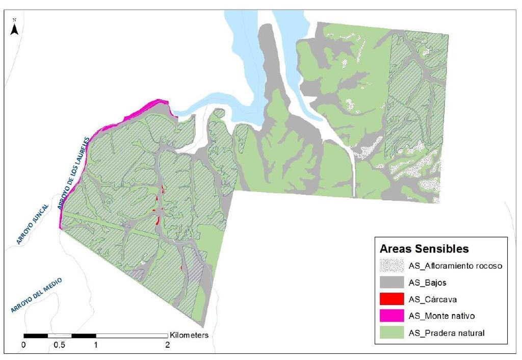 c) Áreas Sensibles Como se observa en la figura 10 existen pequeñas áreas con cárcavas. Dentro de las áreas sensibles identificadas también se encuentran los bajos, afloramientos y bosque nativo.