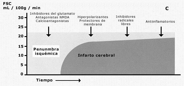Enfermedad Cerebrovascular Isquémica Se generan dos áreas: Central (irrigación < 10ml/100g/min). Periférica (irrigación 10-20ml/100g/min) o Área de penumbra.