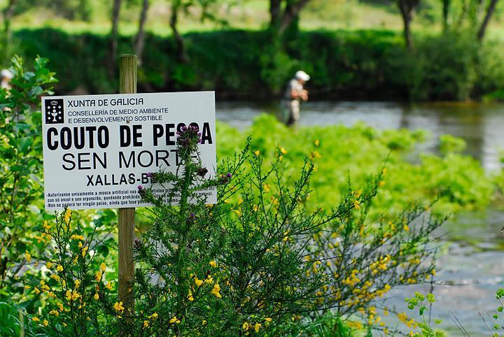 Este VII Open de pesca a mosca por parejas Río Xallas ya se ha convertido en uno de los eventos con más prestigio a nivel Nacional e Internacional.