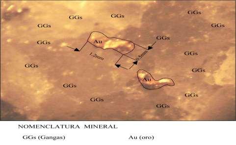 Tabla N 5. Análisis de las muestras del Distrito San Gerardo Minerales primarios Minerales secundarios Minerales de ganga Minerales económicos Nombre de min. (%) Nombre de min.