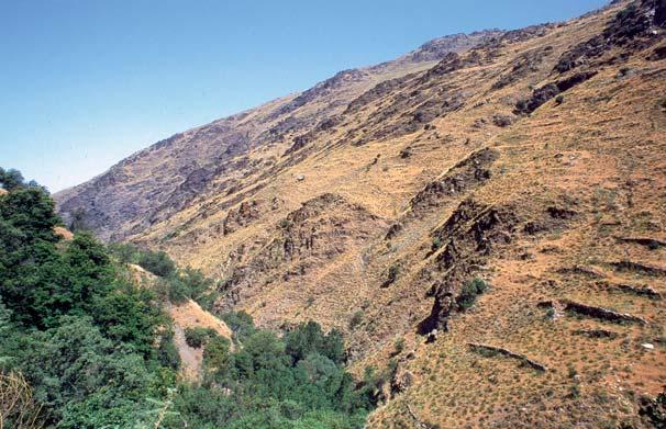 Puede observarse que los diferentes tramos del zigzag, que destacan claramente en el paisaje gracias a la vegetación que sigue el curso del arroyo, son muy lineales.