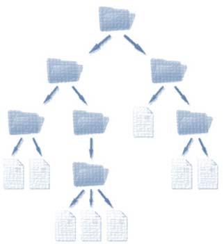 Reorganización administrativa de los componentes de los SIA: coordinaciones de archivos; archivos de trámite, concentración e históricos Consolidación de los sistemas institucionales de archivos